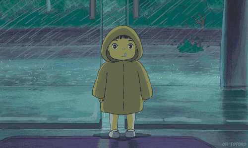 上海入梅啦! 上海入梅啦!