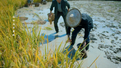 《春风又绿江南岸》今晚收官,严东雷面临去留抉择 《春风又绿江南岸》今晚收官,严东雷面临去留抉择