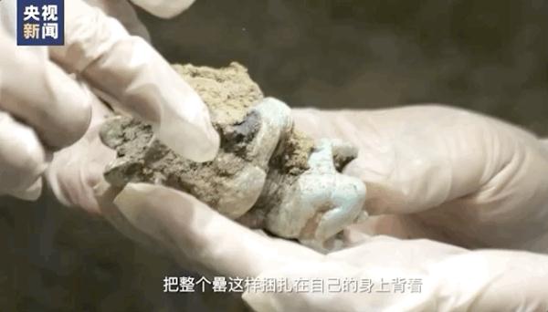 三星堆惊现造型独特、工艺复杂的青铜神坛