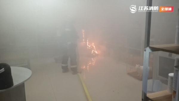 机智！宠物店起火，这位11岁男孩的做法成功解救30只“汪星人”