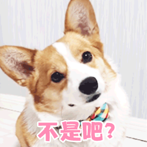女孩含花拍照中毒，网友: 《甄嬛传》早有"科普"