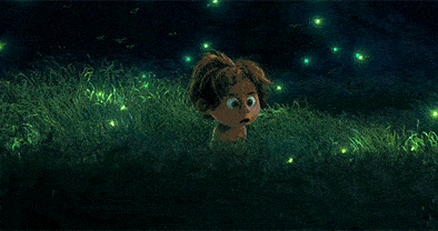 上海迎来萤火虫“大年”,夜游火热,但请务必不要这样做 上海迎来萤火虫“大年”,夜游火热,但请务必不要这样做