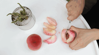 日啖荔枝三百颗?万万不行!当季水果大量上市,但“水果病”要小心 日啖荔枝三百颗?万万不行!当季水果大量上市,但“水果病”要小心