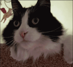 太惊险!孕妈开着车,宝宝突然要“降临”?幸好…… 太惊险!孕妈开着车,宝宝突然要“降临”?幸好……