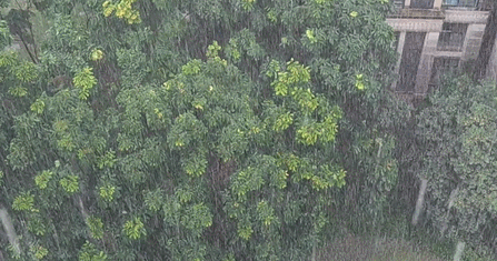 注意！今日重庆大部地区仍有雨，明后各地转晴