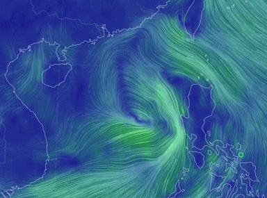 快讯！今年第3号台风或将生成！厦门未来天气将出现......