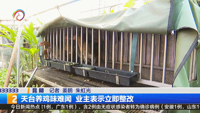 住户在天台养鸡，味道熏人还扰民，邻居很苦恼！业主表示：立即整改