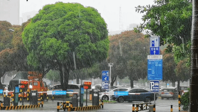 最大降雨量103.7mm！厦门发布今年第二个暴雨红色预警！接下来......