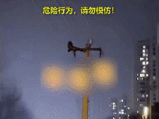 事发温州！男子掏鸟蛋，爬15米电线杆被电！