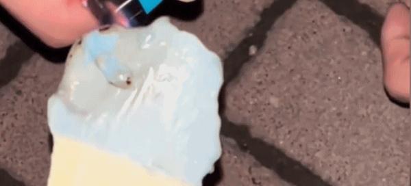 网红雪糕在太阳下暴晒多久会融化? 网红雪糕在太阳下暴晒多久会融化?