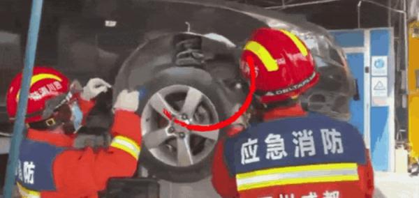 近两米长！副驾传来异响，男子一摸吓掉魂，最近“无孔不入”