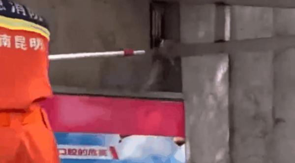 蓝朋友上演蛇口夺鸡! 蓝朋友上演蛇口夺鸡!