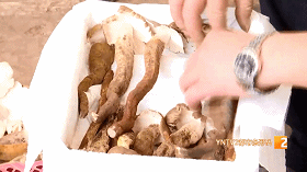 网购野生菌！这波操作最重要……