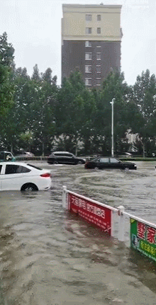 过去1小时，山东降下440个大明湖！多地仍有大到暴雨，今天你迟到了吗？