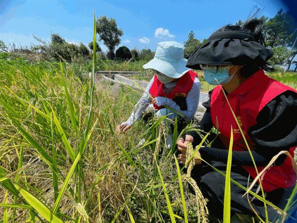 “包邮区”多地连发高温红色预警！还要热多久？