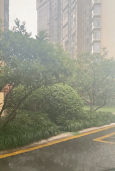 杭州午后雷暴雨，你那边下了吗？降雨继续“安排”！本周天气不简单……