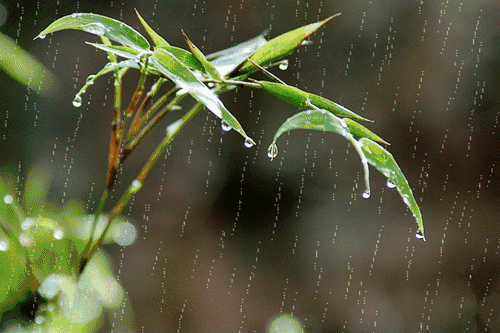 陕西发布暴雨黄色预警,局地将现雷暴大风冰雹天气!此地实行封闭管理,只出不进→ 陕西发布暴雨黄色预警,局地将现雷暴大风冰雹天气!此地实行封闭管理,只出不进→