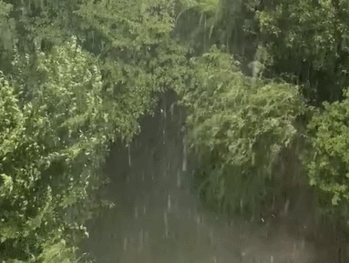 杭州突降暴雨！明后天还需防范强对流天气 西湖边这道美景错过等一年