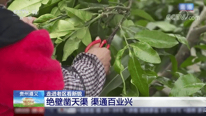 “大发渠”全线贯通后，草王坝如今的面貌如何？《高山清渠》CCTV-1正在热播→