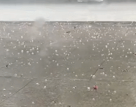 炎炎夏日，广东多地突降冰雹+暴雨！网友：给我也来点“冰水”吧……