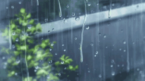 中雨+大雨+暴雨！河北雨雨雨继续……