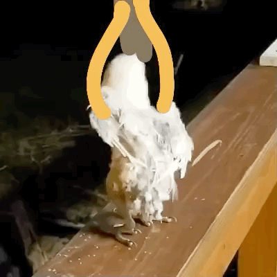 41.8℃！江苏最高温破纪录！还可能继续刷新