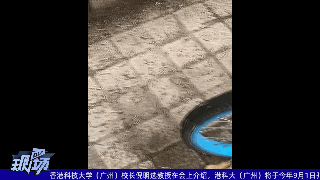 吓人！这里一公交站布满这种虫，街坊看了心惊惊…