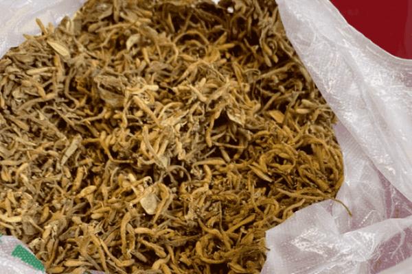 “送你的，不要钱！”蓝田一早市女孩和摆摊爷爷闲聊几句，没想到…