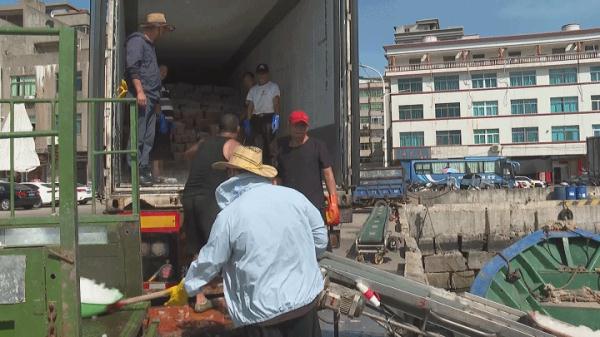 鲜!正大量上岸!福州人最爱! 鲜!正大量上岸!福州人最爱!