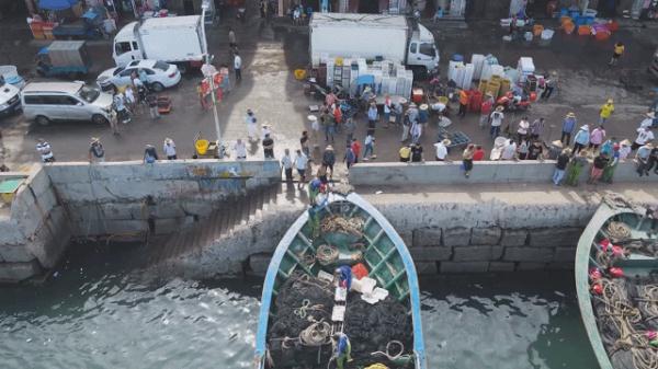 鲜!正大量上岸!福州人最爱! 鲜!正大量上岸!福州人最爱!