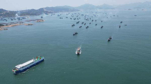 鲜!正大量上岸!福州人最爱! 鲜!正大量上岸!福州人最爱!