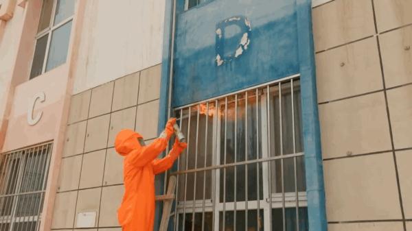 漫天飞舞！这些小家伙也要去上学了？！