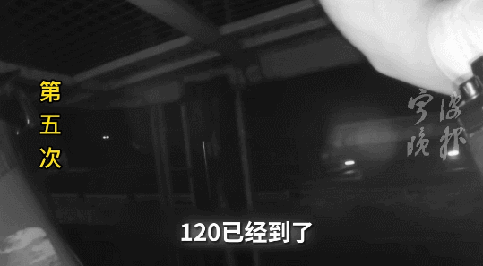 事发高速！凌晨，交警“碎碎念”式喊话！网友：“碎碎平安”