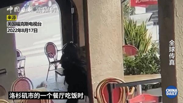 美国流浪者暴增！男子餐厅吃饭被打，瘾君子随地扔注射针头