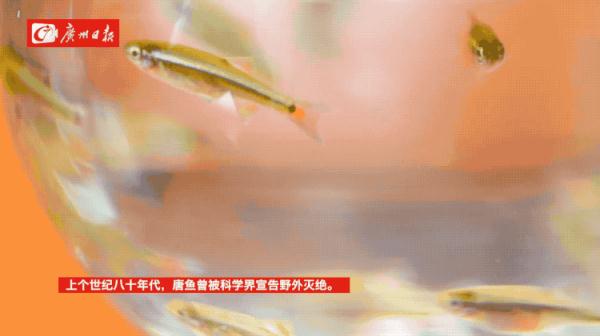 广州一公园出现这个有趣画面，游客纷纷追拍