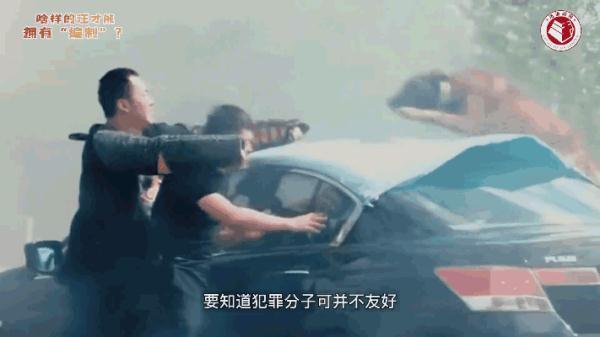 "我不是童工！"上海小码警犬萌上热搜，"考编"经历曝光