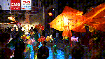 快看！这个消失已久的“鱼”今年中秋又“游”回来了！