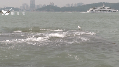 37.3℃,厦门高温预警!强台风“梅花”或将登陆华东!又一台风生成...... 37.3℃,厦门高温预警!强台风“梅花”或将登陆华东!又一台风生成......