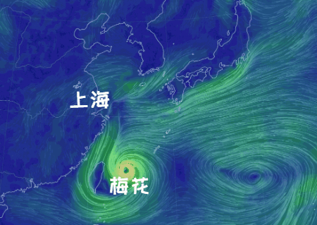 今年首个登陆华东的台风？！上海或要硬刚“梅花”，风大雨强！