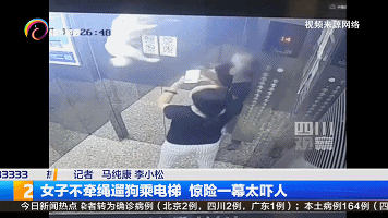 【监控】吓人！狗绳被电梯门夹住，女子试图拉绳被带到半空……