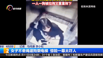 【监控】吓人！狗绳被电梯门夹住，女子试图拉绳被带到半空……