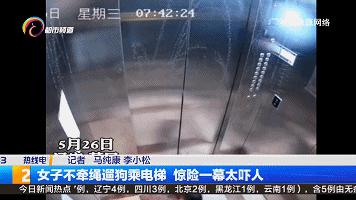 【监控】吓人！狗绳被电梯门夹住，女子试图拉绳被带到半空……