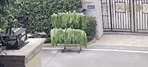 熊孩子将整层楼道灭火器呲光光