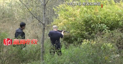 现场画面!600多斤二代野猪发狂,被黑龙江民警当场击毙! 现场画面!600多斤二代野猪发狂,被黑龙江民警当场击毙!