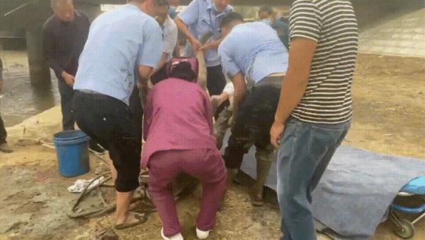 失明老人跌落3米高桥，下一秒……