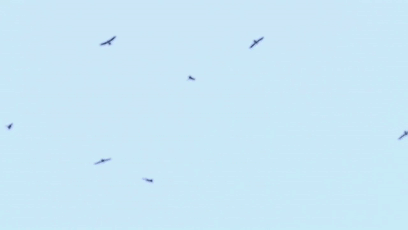 罕见！武汉上空出现“鹰河”奇景