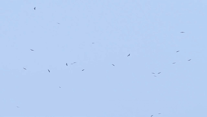 罕见！武汉上空出现“鹰河”奇景