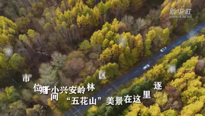网友脱口而出：“树树皆秋色，山山唯落晖”！