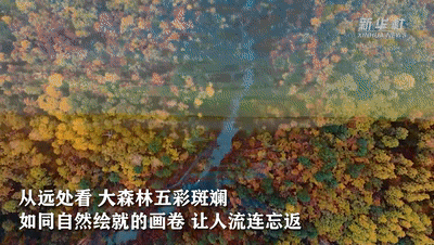 网友脱口而出：“树树皆秋色，山山唯落晖”！