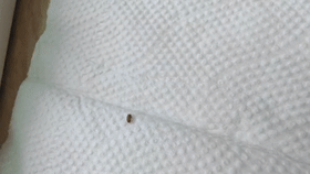 杭州女子家里小飞虫泛滥,竟是因为前年冬天买了它!很多人家里都有… 杭州女子家里小飞虫泛滥,竟是因为前年冬天买了它!很多人家里都有…